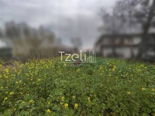 Άποψη οικοπέδου