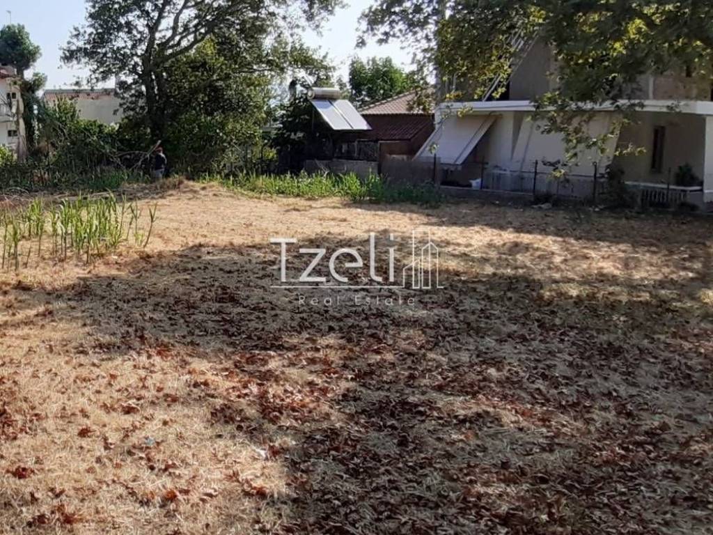 Άποψη οικοπέδου