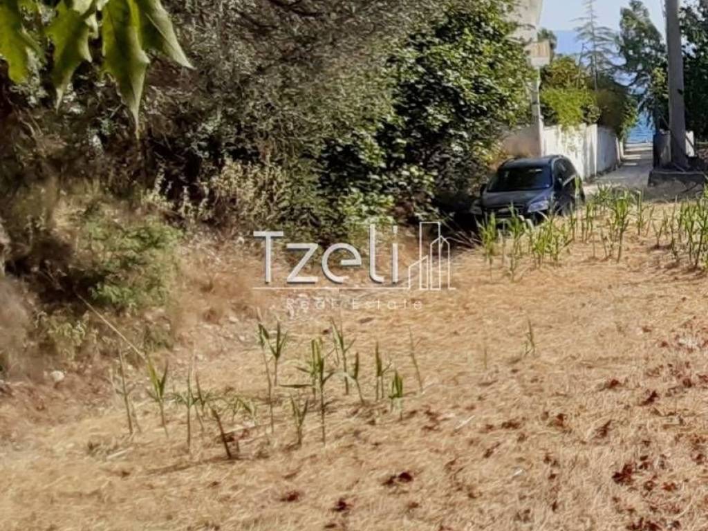 Άποψη οικοπέδου