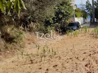 Άποψη οικοπέδου