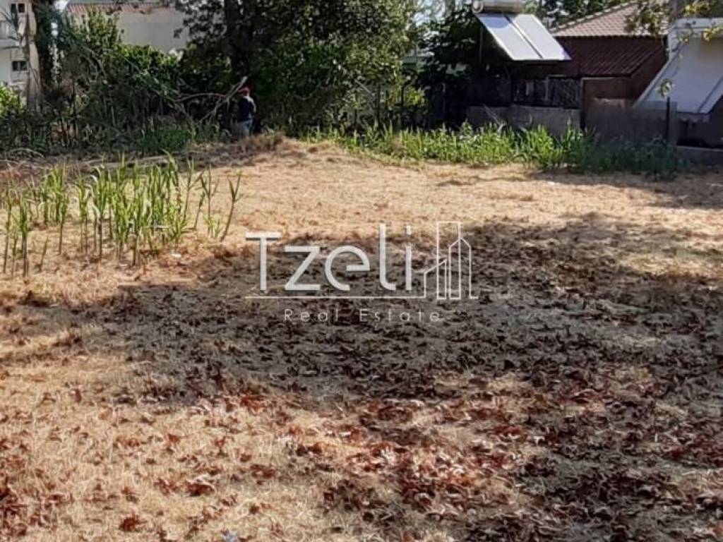 Άποψη οικοπέδου