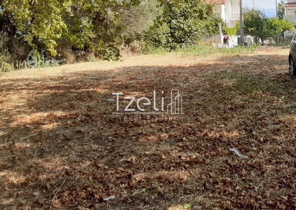 Άποψη οικοπέδου