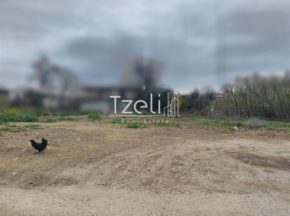 Άποψη οικοπέδου