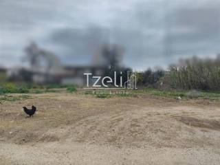 Άποψη οικοπέδου