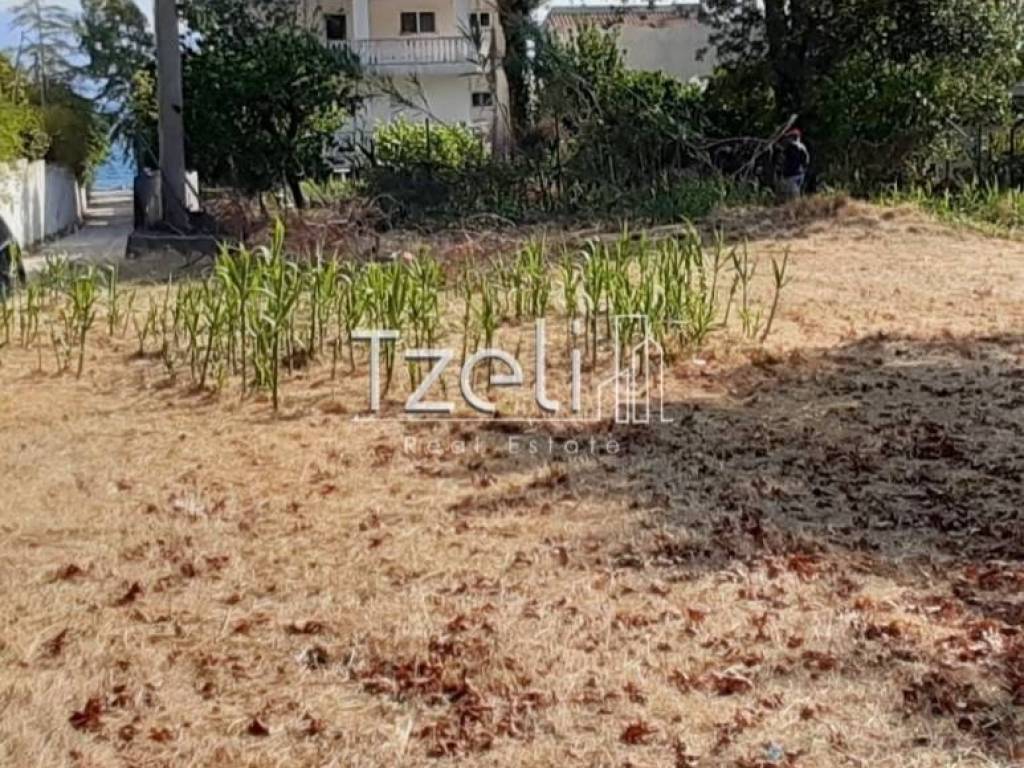 Άποψη οικοπέδου