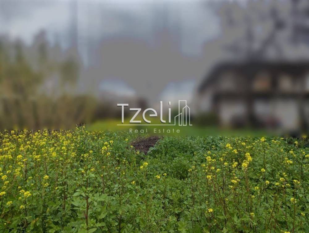 Άποψη οικοπέδου