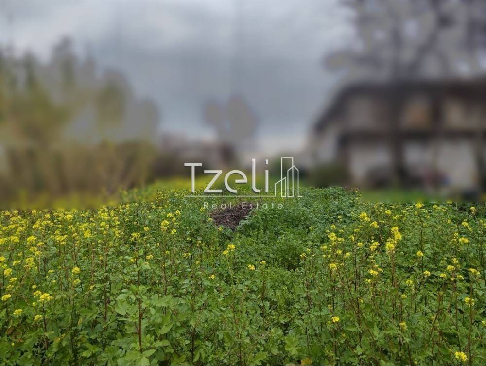 Άποψη οικοπέδου