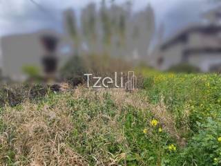 Άποψη οικοπέδου