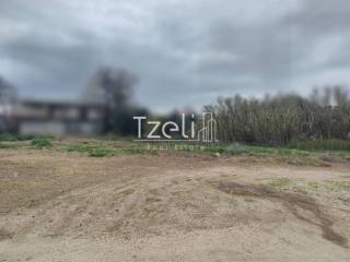 Άποψη οικοπέδου