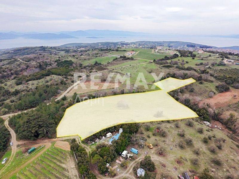 Αεροφωτογραφία