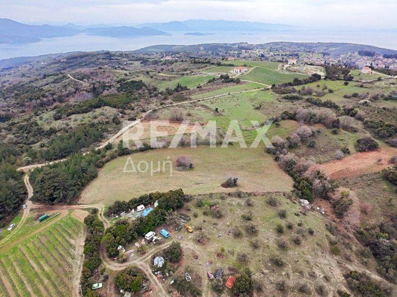 Αεροφωτογραφία