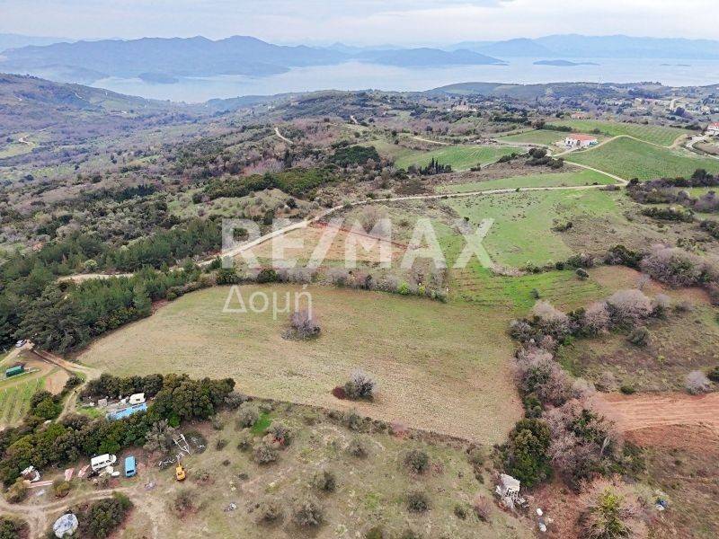 Αεροφωτογραφία