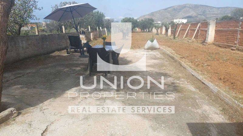 Ύπαρξη ανθρώπου