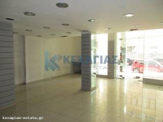 ΕΣΩΤΕΡΙΚΗ ΛΗΨΗ