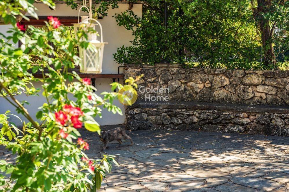 Εξωτερικός Χώρος