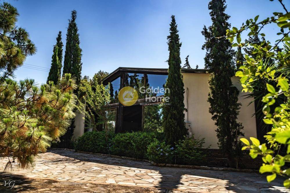 Κυρίως Χώρος