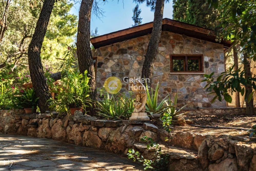 Εξωτερικός Χώρος