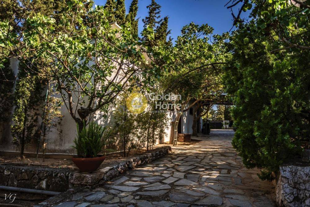 Εξωτερικός Χώρος