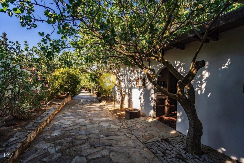 Εξωτερικός Χώρος