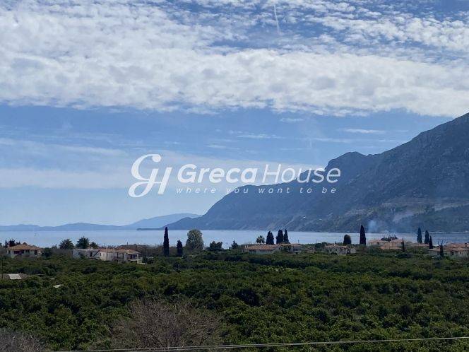 Ξενοδοχείο Προς Πώληση στην Αρχαία Επίδαυρο