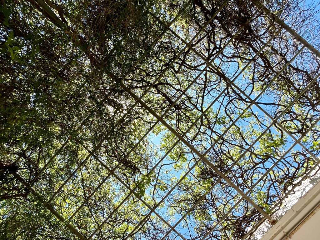 lagonisi_residential_villa_for_sale