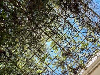 lagonisi_residential_villa_for_sale