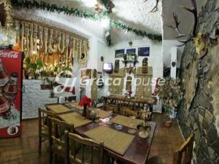 Παρνασσός Πετρόκτιστο Ξενοδοχείο προς Πώληση