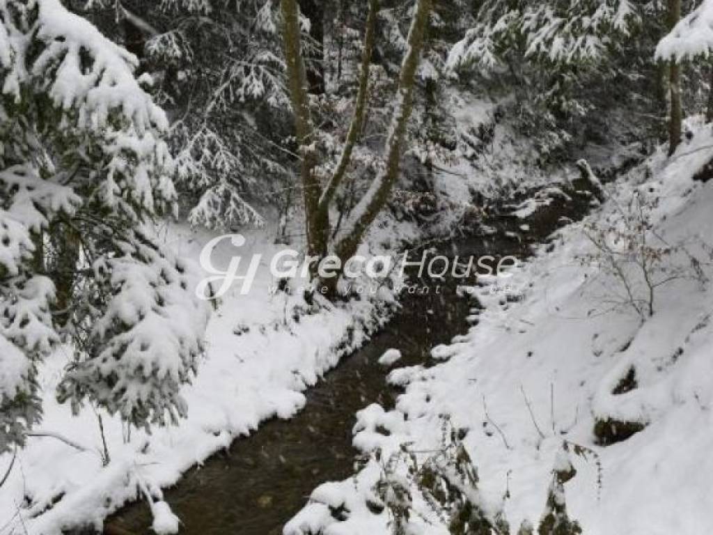 Παρνασσός Πετρόκτιστο Ξενοδοχείο προς Πώληση