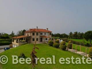 Άποψη εξωτερικού χώρου