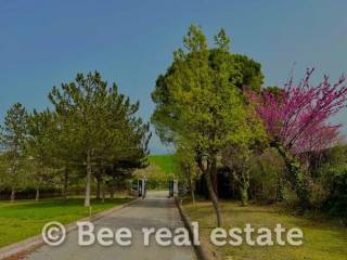 Άποψη εξωτερικού χώρου