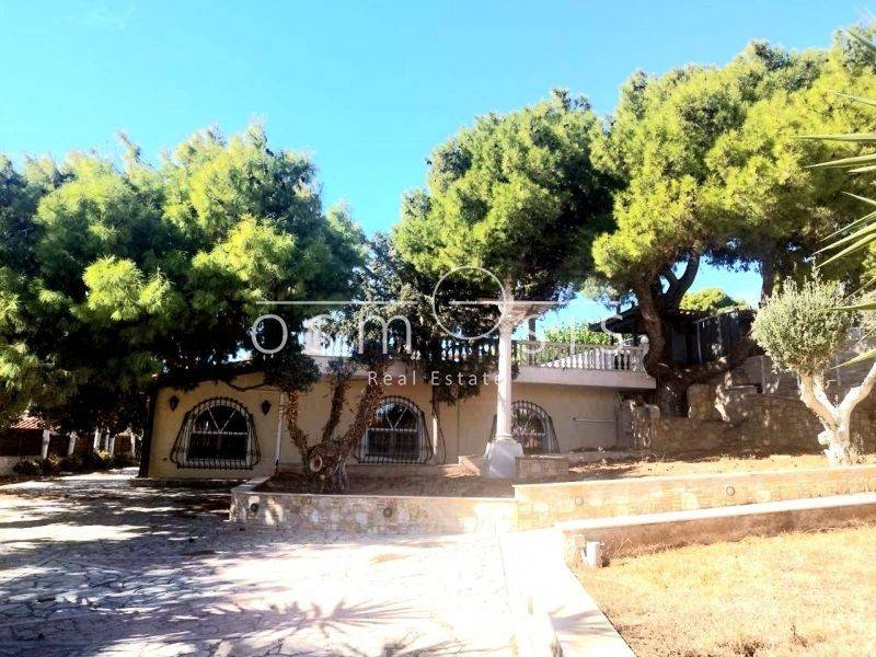 Άποψη χώρου