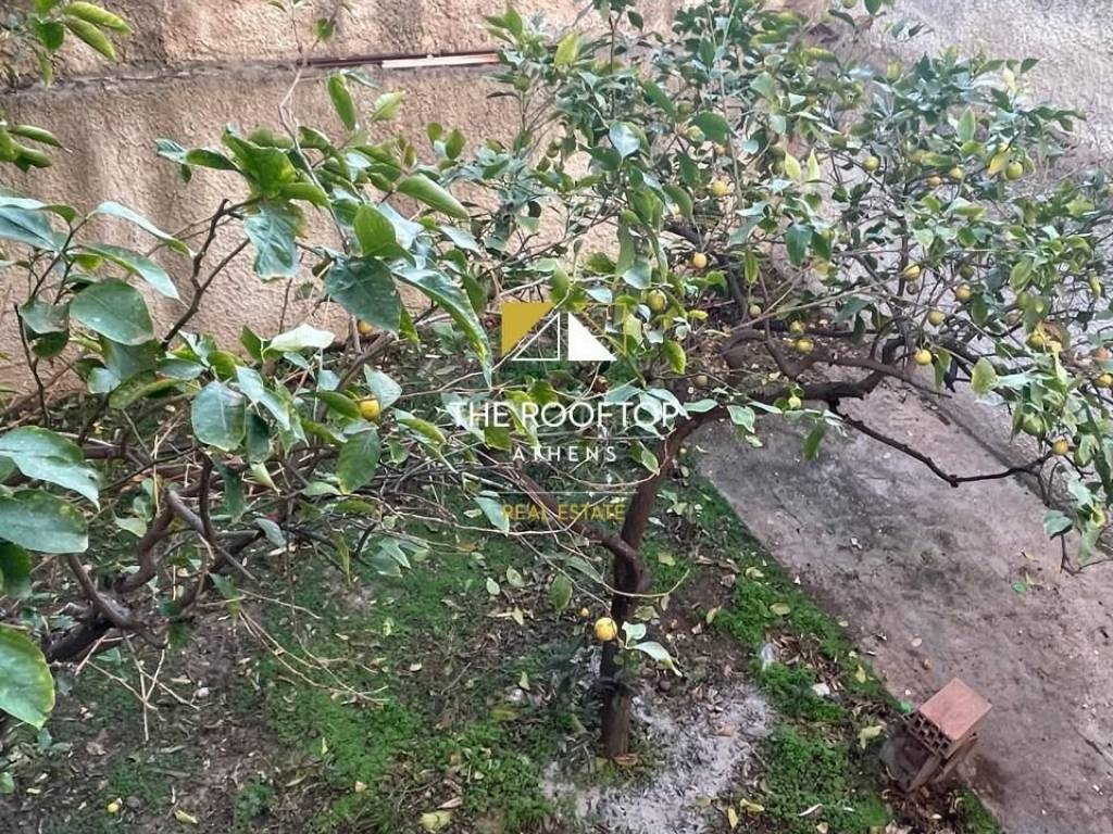 κοινόχρηστος χώρος