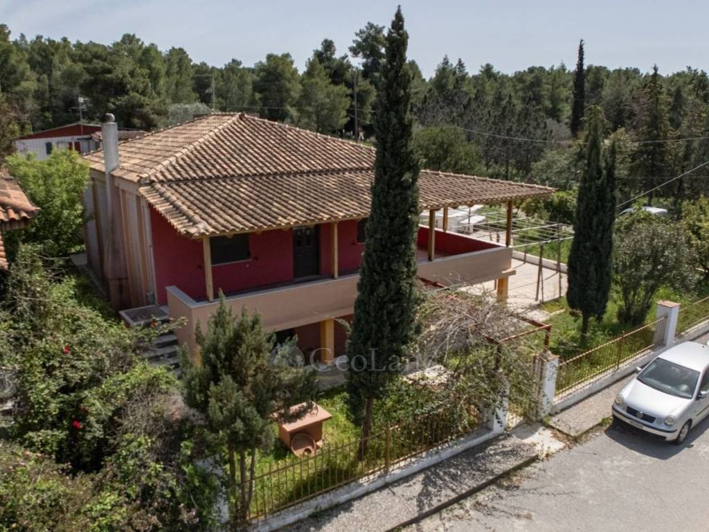 Εξωτερικός χώρος