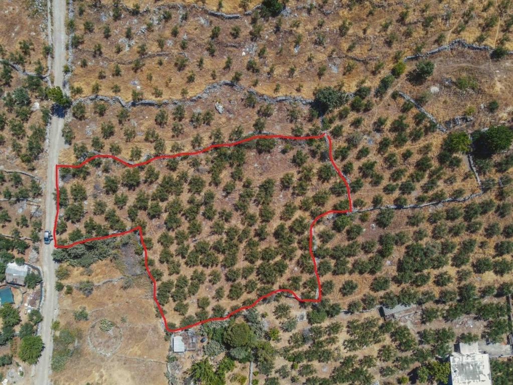 Οικόπεδο προς Πώληση στο Νεοχωρι 3000 τ.μ.