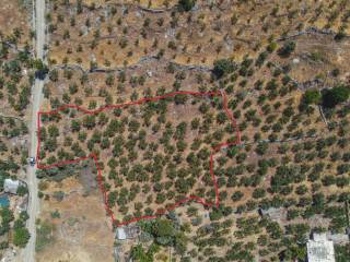 Οικόπεδο προς Πώληση στο Νεοχωρι 3000 τ.μ.