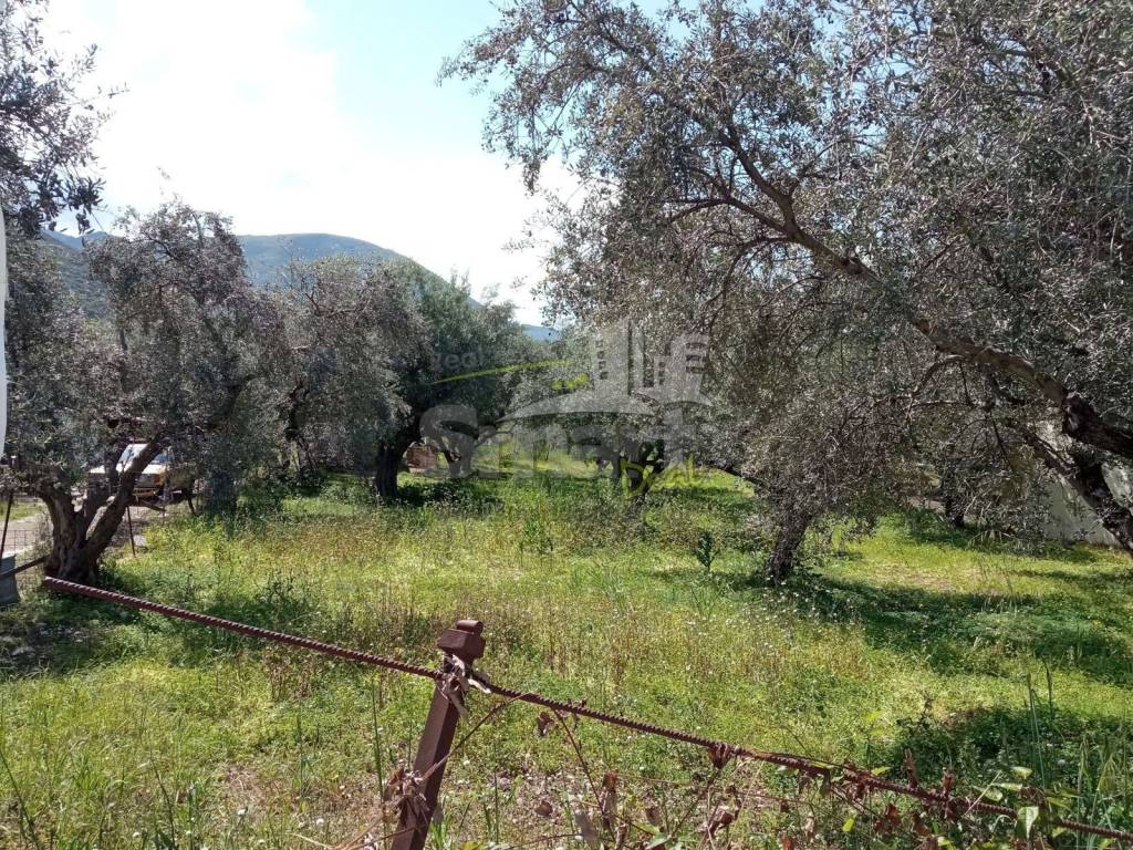 Εξωτερικοι χώροι