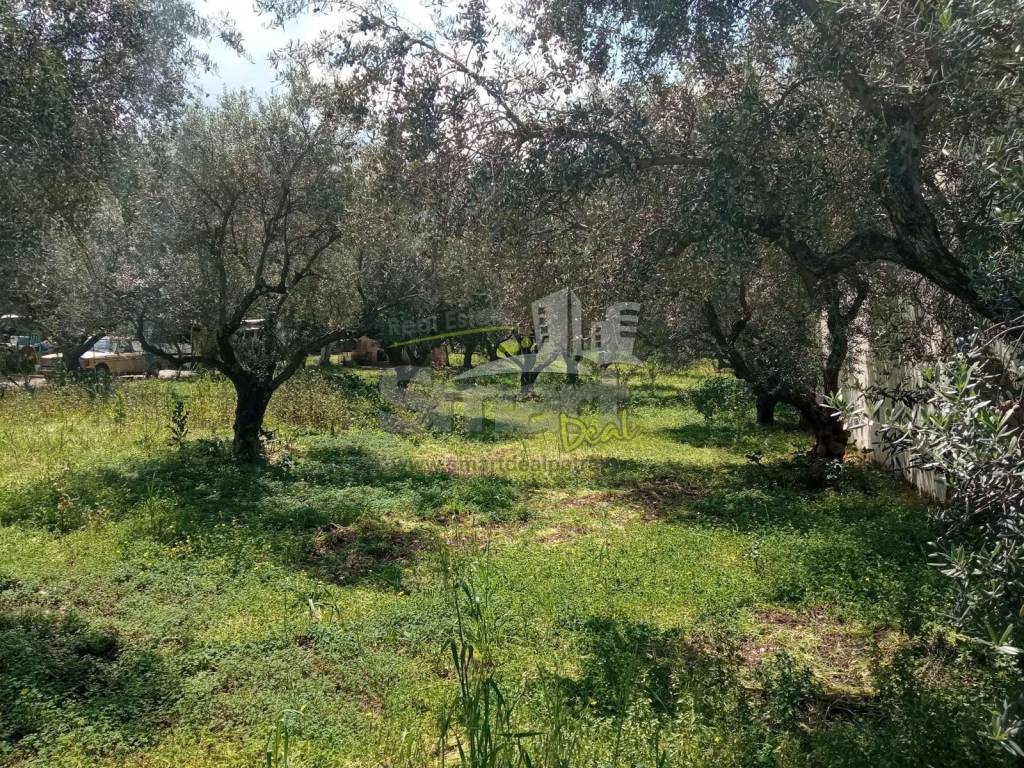 Εξωτερικοι χώροι