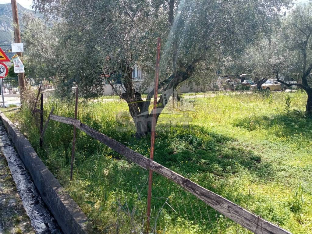 Εξωτερικοι χώροι