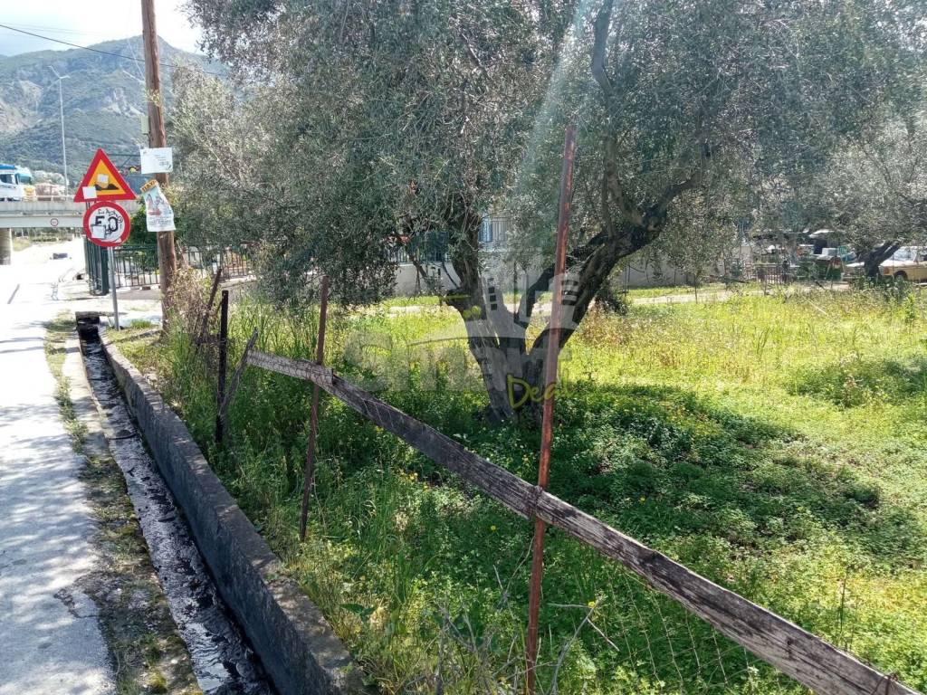 Εξωτερικοι χώροι