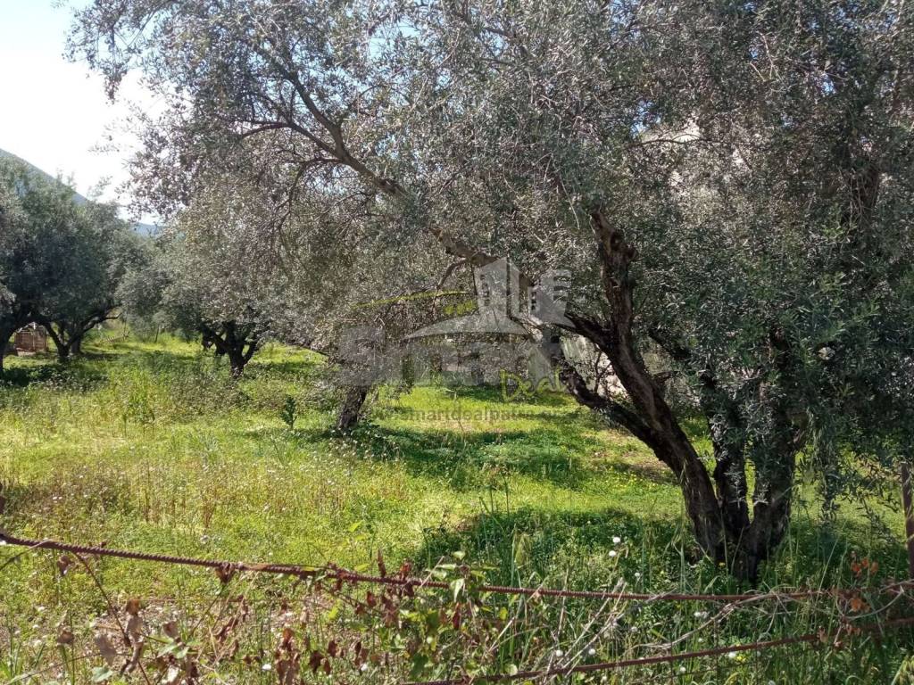 Εξωτερικοι χώροι