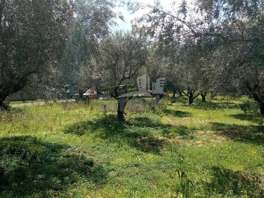 Εξωτερικοι χώροι