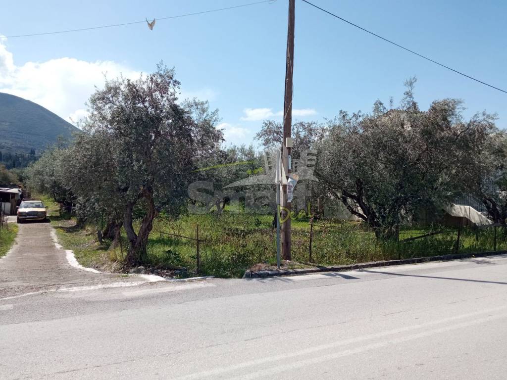 Εξωτερικοι χώροι