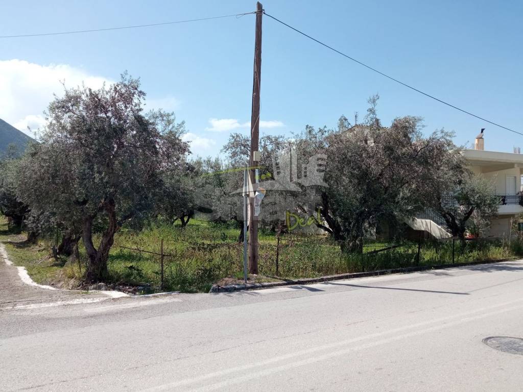 Εξωτερικοι χώροι