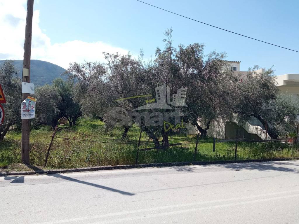 Εξωτερικοι χώροι