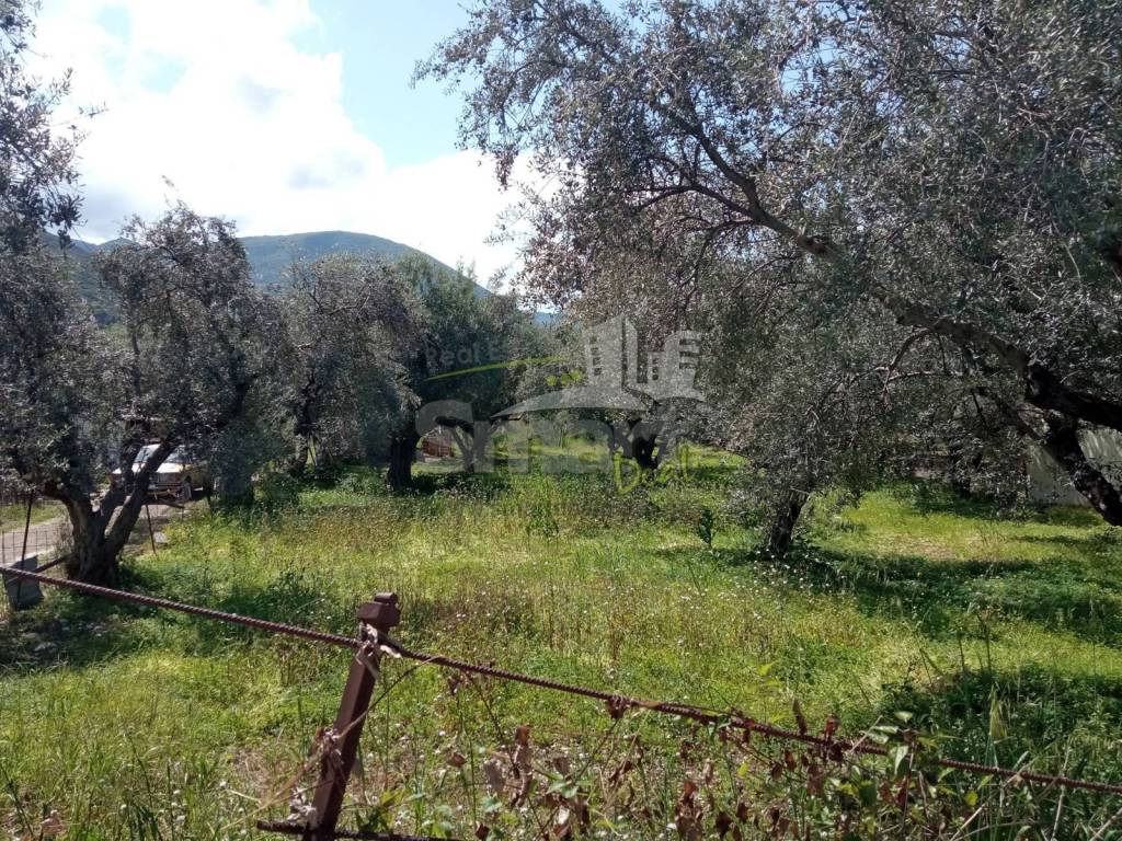 Εξωτερικοι χώροι