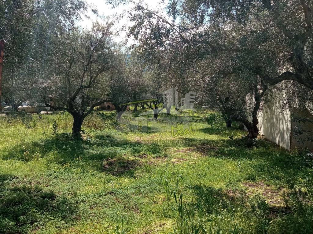 Εξωτερικοι χώροι