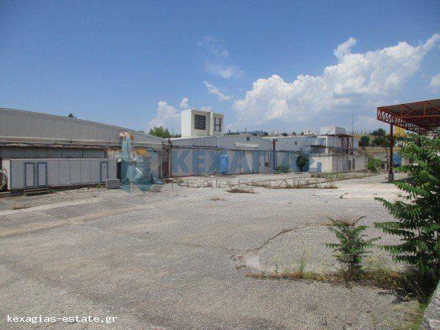 ΕΞΩΤΕΡΙΚΗ ΟΨΗ ΚΤΗΡΙΩΝ