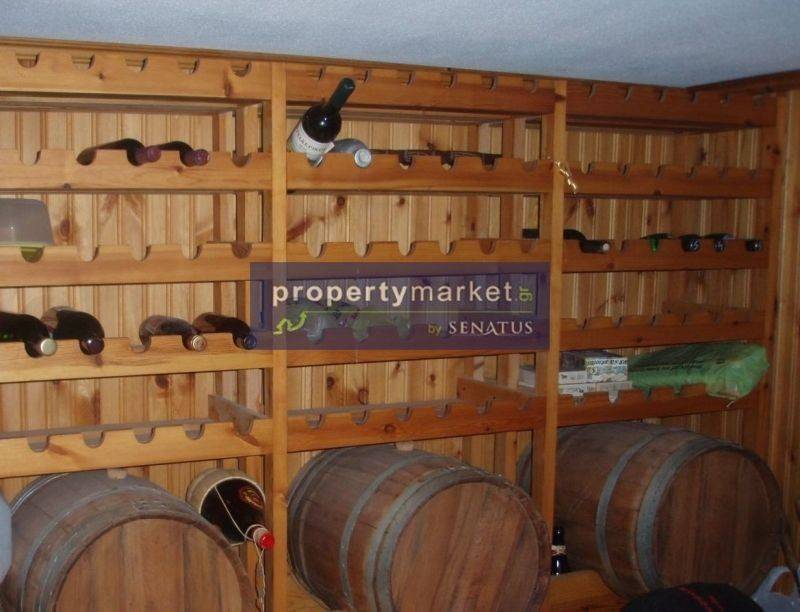 Ύπαρξη ανθρώπου