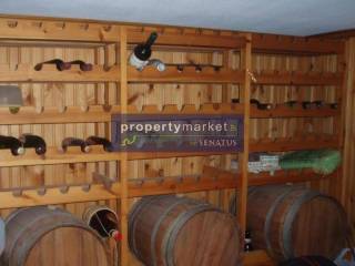 Ύπαρξη ανθρώπου