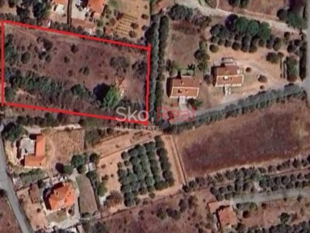 Τοπογραφικό